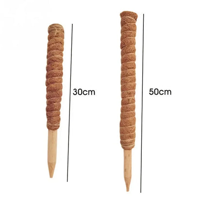 Indoor garden accessory made of coconut fiber and wood, providing sturdy support for climbing plants