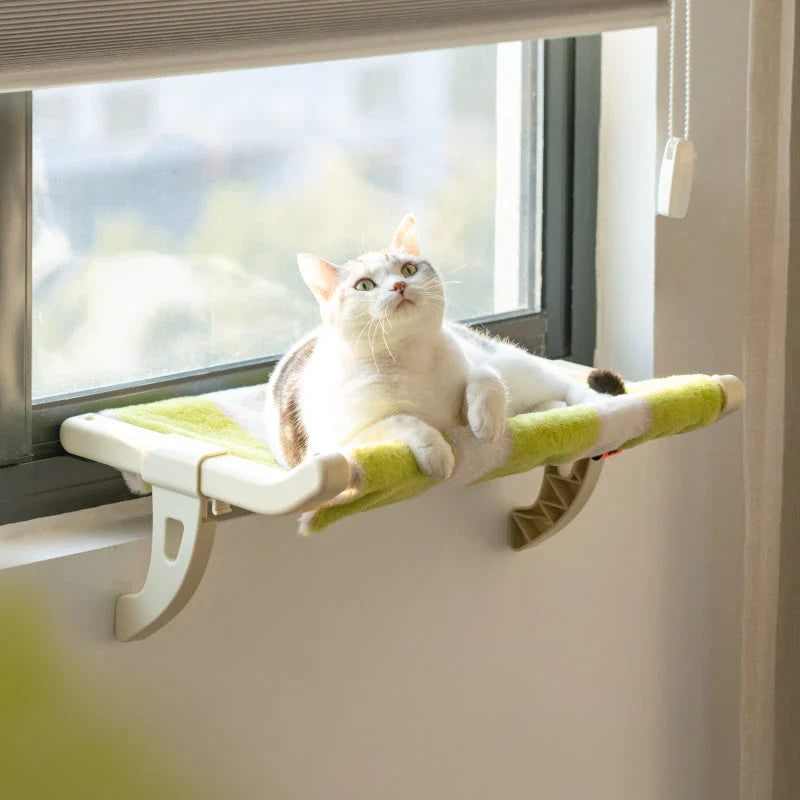 Cat relaxing in a cozy, hanging hammock bed placed in a sunny window