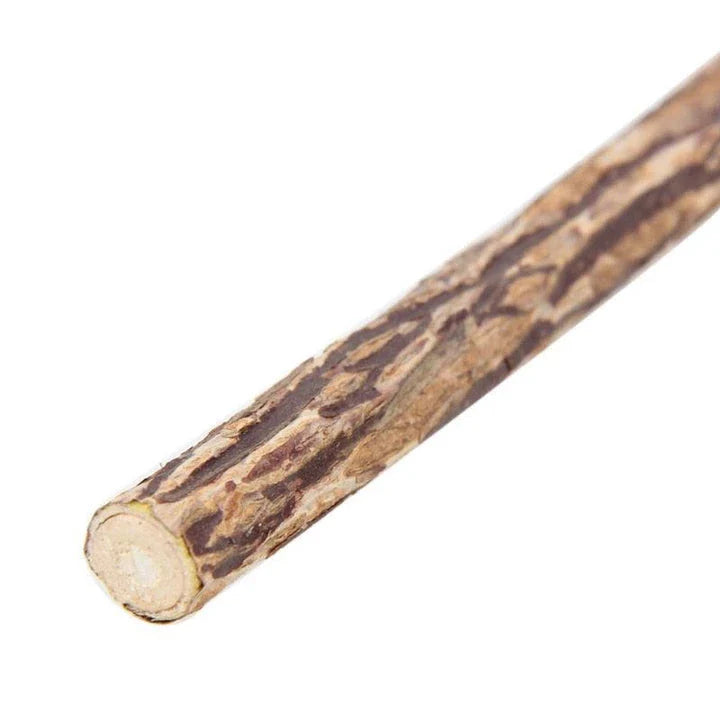 Catnip Teeth Brushing Sticks for Cats - Effective Dental Care Solution with Natural Catnip Infusion