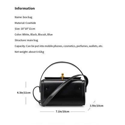 Luxury Genuine Leather Small Square Shoulder Bag in Black, Milk Apricot, Gray Blue, and Beige colors