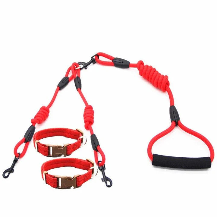 Durable nylon dog training rope with adjustable length and width options in blue, black, red, and orange colors