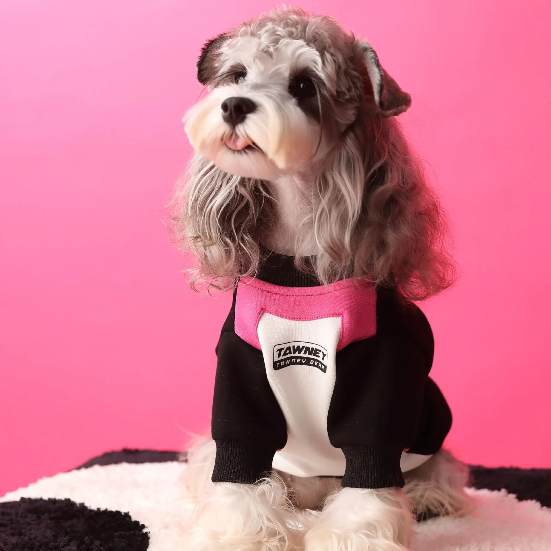 Cozy dog pullover sweater in pink color with zipper closure, made of soft cotton material for pet comfort and style
