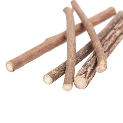 Catnip Teeth Brushing Sticks for Cats - Effective Dental Care Solution with Natural Catnip Infusion