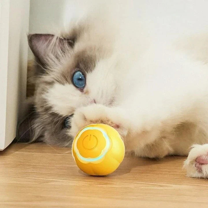 Interactive LED cat toy ball with automatic movements, smart obstacle avoidance, and colorful LED lights for engaging playtime