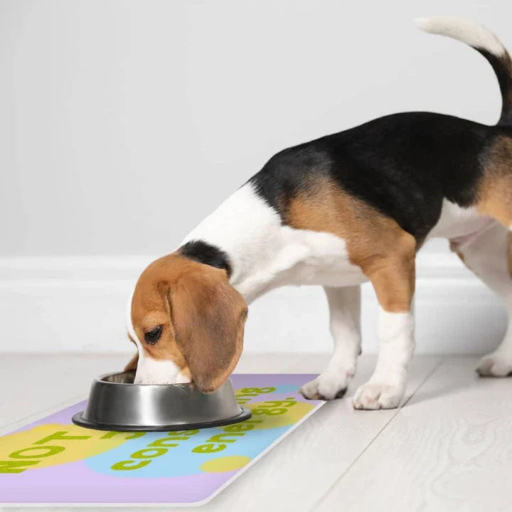 Themed anti-slip pet food mat with motivational quote, made of durable polyester and rubber for easy cleaning and non-slip use