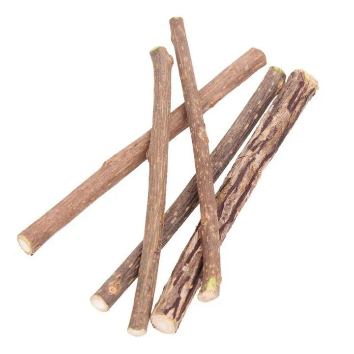 Catnip Teeth Brushing Sticks for Cats - Effective Dental Care Solution with Natural Catnip Infusion