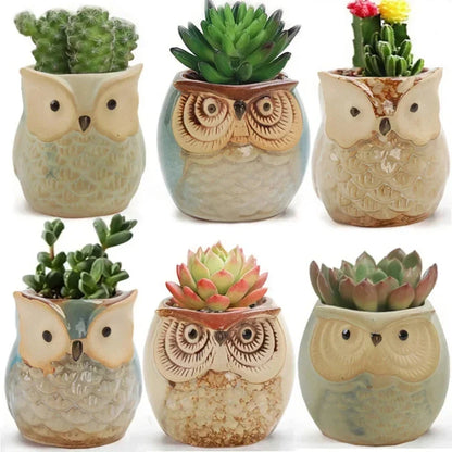 Adorable mini owl-shaped ceramic planter for small plants and succulents, featuring vibrant colors and vintage charm