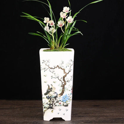 Elegant square ceramic planter in white with a Chinese-inspired design, suitable for indoor plants like asparagus fern and orchid.