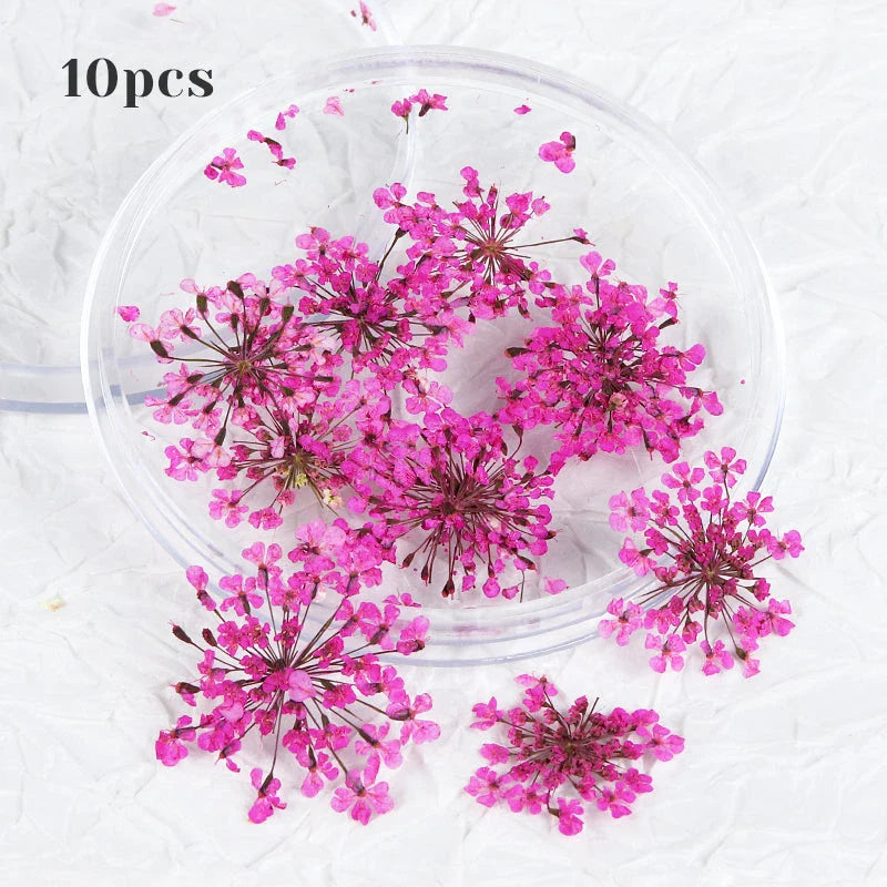 3D Dried Flower Nail Art Decorations Set featuring vibrant, real dried flowers for unique and elegant nail designs