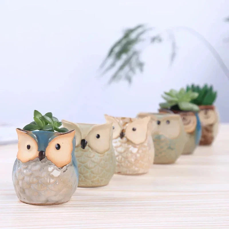 Adorable mini owl-shaped ceramic planter for small plants and succulents, featuring vibrant colors and vintage charm
