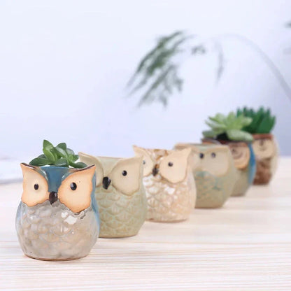 Adorable mini owl-shaped ceramic planter for small plants and succulents, featuring vibrant colors and vintage charm