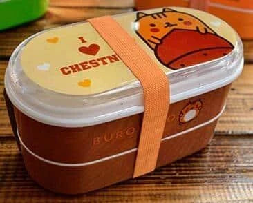 Stylish and eco-friendly cartoon-inspired portable lunch box with BPA-free plastic construction