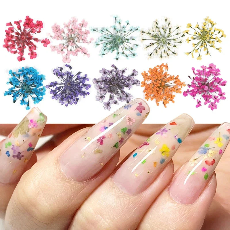 3D Dried Flower Nail Art Decorations Set featuring vibrant, real dried flowers for unique and elegant nail designs