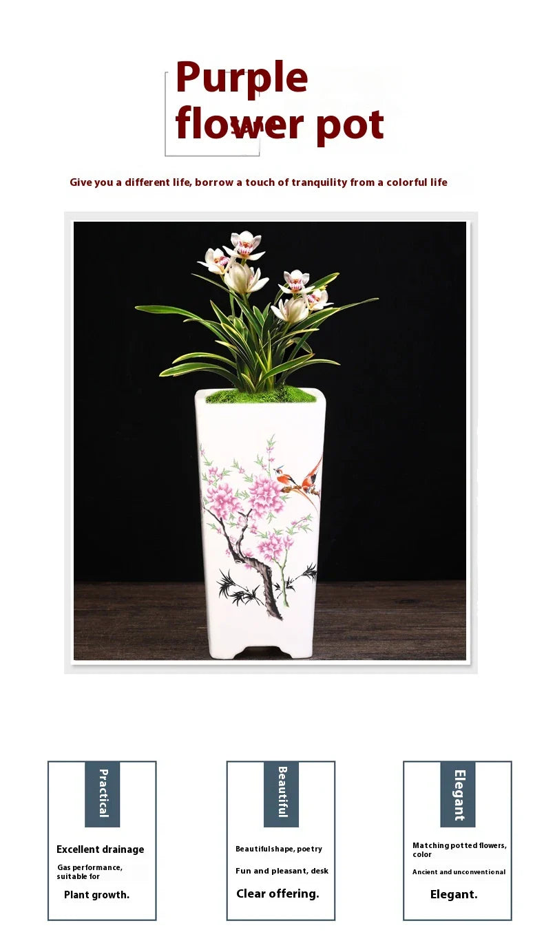 Elegant square ceramic planter in white with a Chinese-inspired design, suitable for indoor plants like asparagus fern and orchid.
