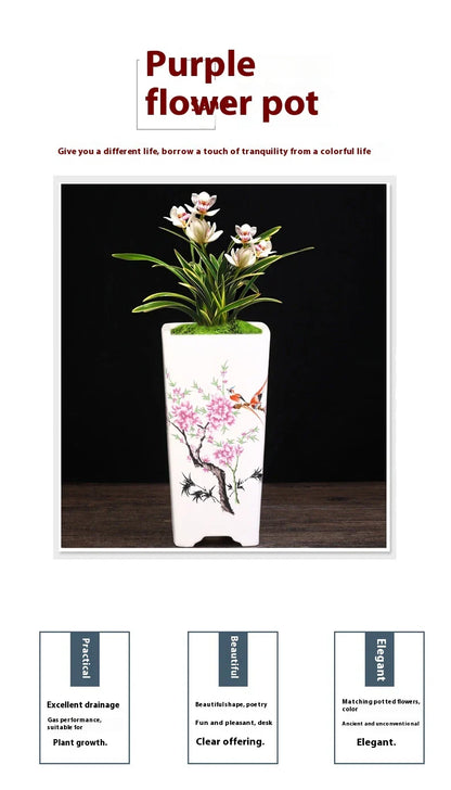 Elegant square ceramic planter in white with a Chinese-inspired design, suitable for indoor plants like asparagus fern and orchid.