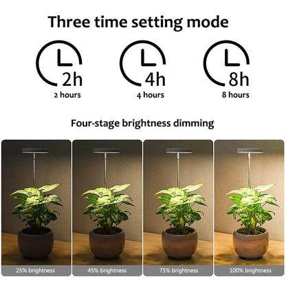 Adjustable LED Angel Ring Grow Light with Timer for Indoor Plants