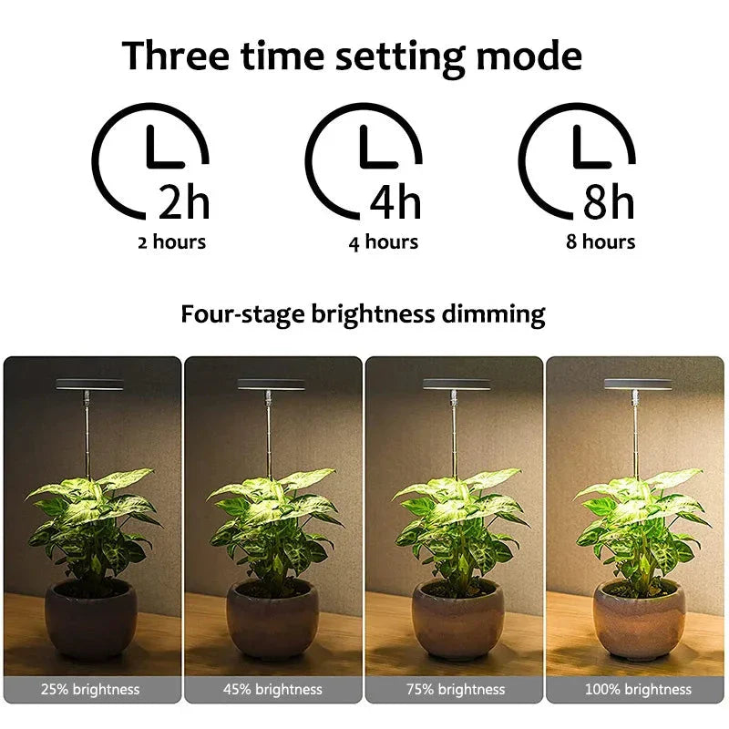 Hhomeenjoy Adjustable Height LED Angel Ring Plant Grow Light with Timer
