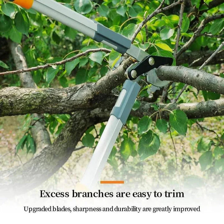 Professional Ratchet Pruning Shears with Extendable Long Handle for Effortless Gardening and Plant Maintenance