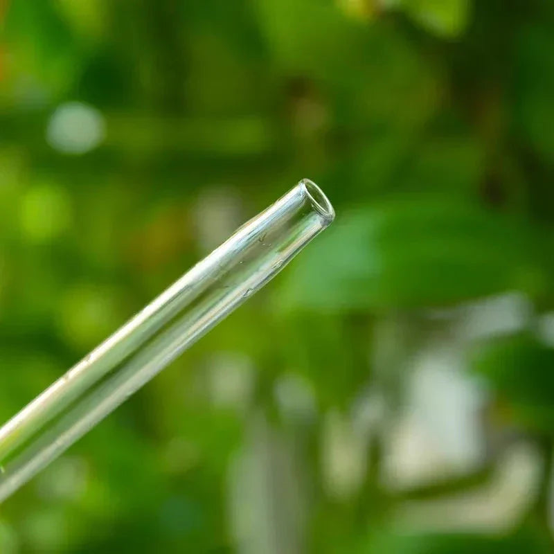 Automatic self-watering plant device in decorative designs including birds, stars, and mushrooms