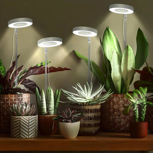 Adjustable LED Angel Ring Grow Light with Timer for Indoor Plants