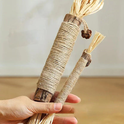 Natural Silvervine Catnip Sticks for cats, providing dental care, digestive support, and interactive playtime