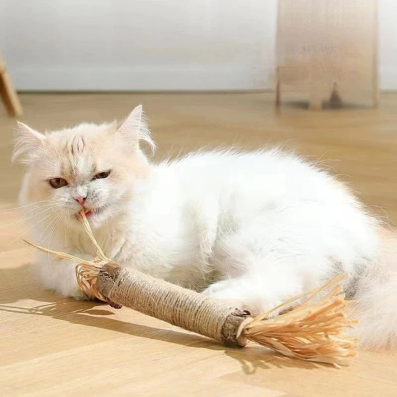 Natural Silvervine Catnip Sticks for cats, providing dental care, digestive support, and interactive playtime