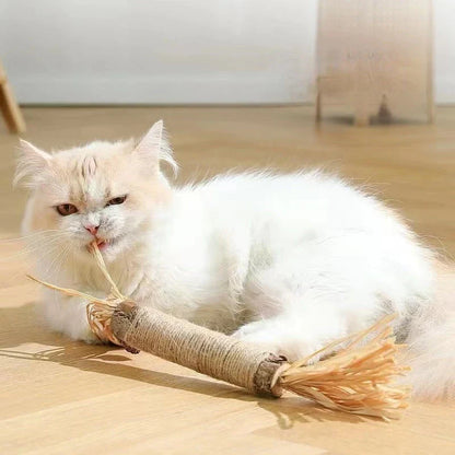 Natural Silvervine Catnip Sticks for cats, providing dental care, digestive support, and interactive playtime