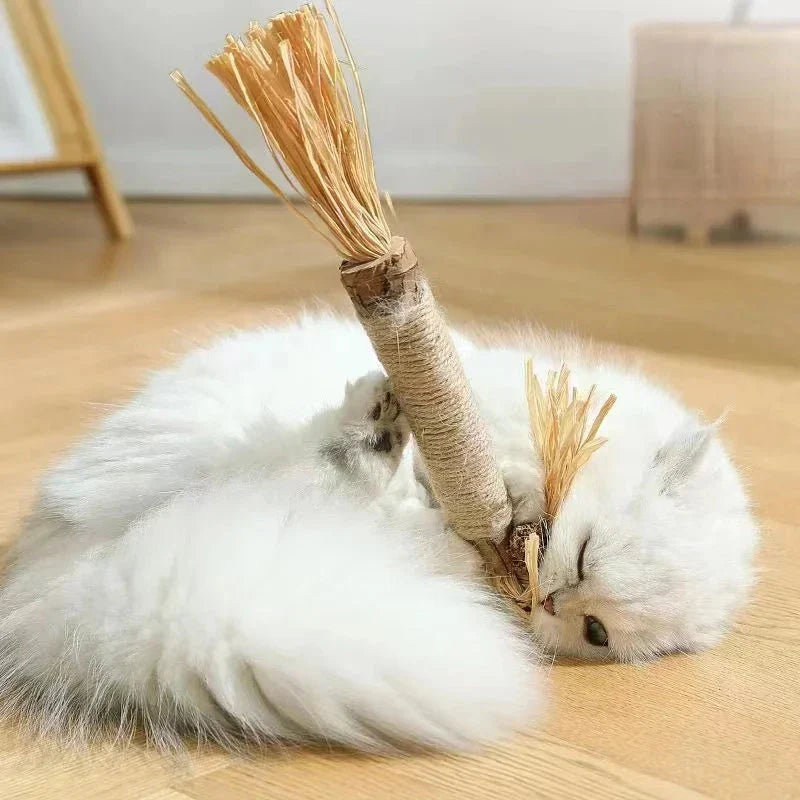 Natural Silvervine Catnip Sticks for cats, providing dental care, digestive support, and interactive playtime