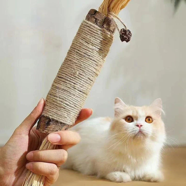 Natural Silvervine Catnip Sticks for cats, providing dental care, digestive support, and interactive playtime