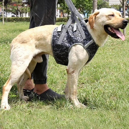 Full Body Support Dog Lift Harness with adjustable straps and handles to assist senior or injured dogs