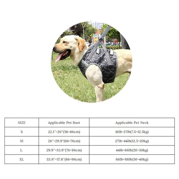 Full Body Support Dog Lift Harness with adjustable straps and handles to assist senior or injured dogs