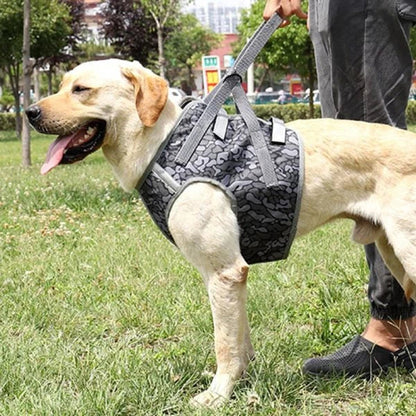 Full Body Support Dog Lift Harness with adjustable straps and handles to assist senior or injured dogs