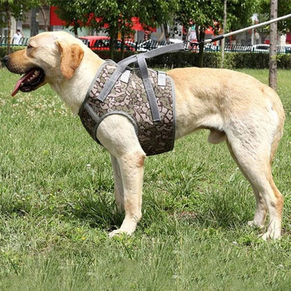 Full Body Support Dog Lift Harness with adjustable straps and handles to assist senior or injured dogs
