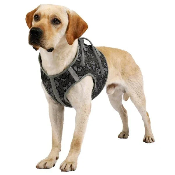 Full Body Support Dog Lift Harness with adjustable straps and handles to assist senior or injured dogs