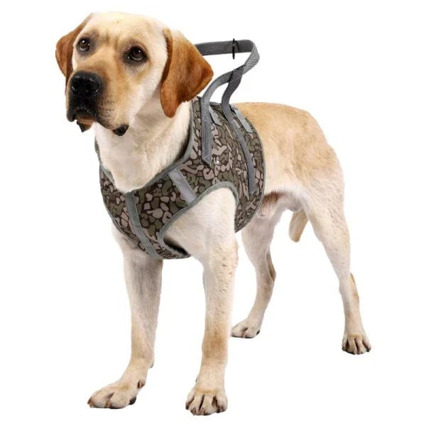 Full Body Support Dog Lift Harness with adjustable straps and handles to assist senior or injured dogs