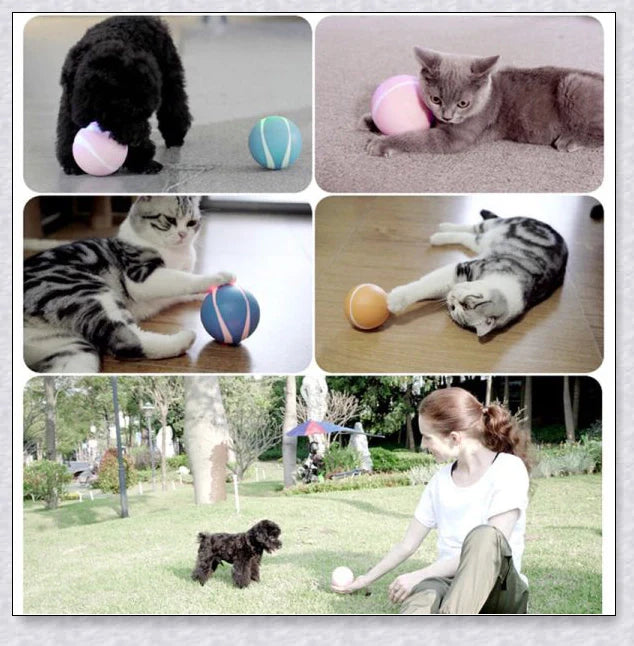 Hhomeenjoy  Remote Control Pet Bounce Ball