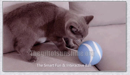 Remote Control Pet Bounce Ball - Durable, Interactive Toy with Vibrant LED Colors and Remote Control for Endless Pet Playtime Fun