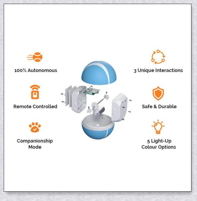 Remote Control Pet Bounce Ball - Durable, Interactive Toy with Vibrant LED Colors and Remote Control for Endless Pet Playtime Fun