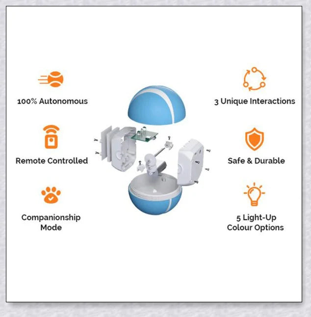 Remote Control Pet Bounce Ball - Durable, Interactive Toy with Vibrant LED Colors and Remote Control for Endless Pet Playtime Fun