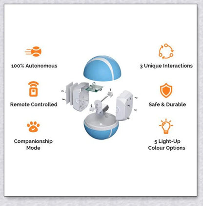 Remote Control Pet Bounce Ball - Durable, Interactive Toy with Vibrant LED Colors and Remote Control for Endless Pet Playtime Fun