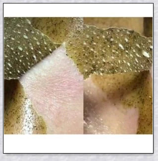 Green Tea Peel Off Mask with botanical extracts for deep pore cleansing and skin rejuvenation