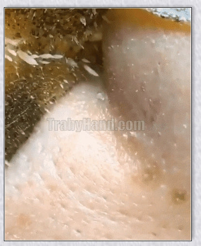 Green Tea Peel Off Mask with botanical extracts for deep pore cleansing and skin rejuvenation