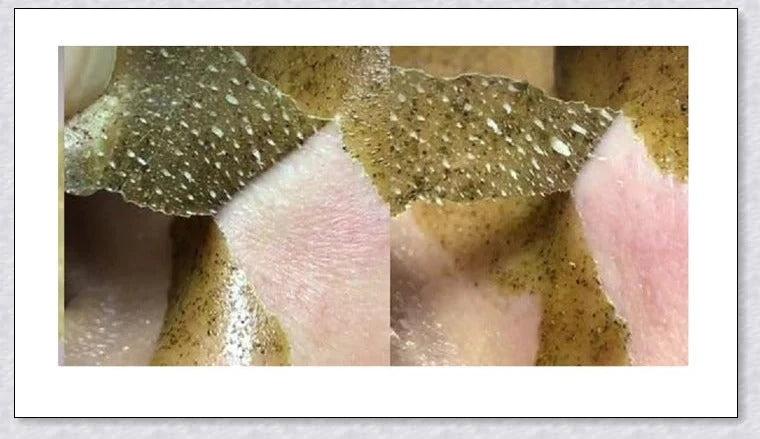 Green Tea Peel Off Mask with botanical extracts for deep pore cleansing and skin rejuvenation