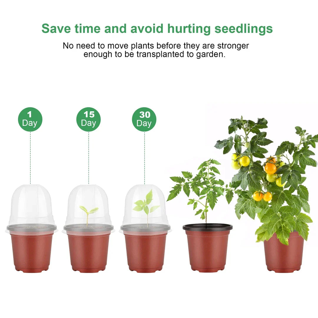 4-inch plant nursery pots with clear humidity domes for seed starting, cuttings, and small plant growth