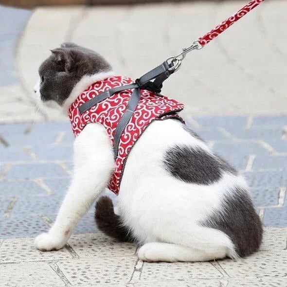 A premium cat vest harness and leash set made of breathable, durable polyester for comfortable outdoor adventures.