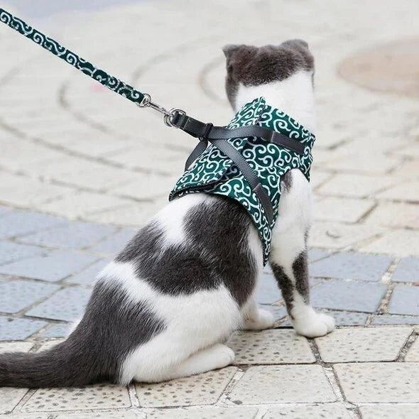 A premium cat vest harness and leash set made of breathable, durable polyester for comfortable outdoor adventures.