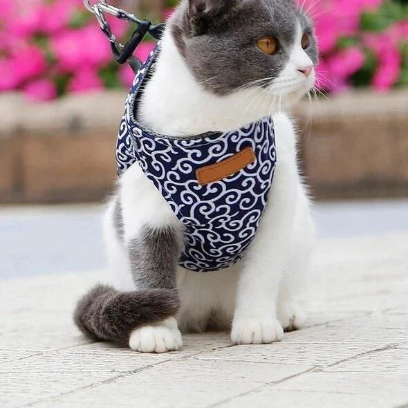 A premium cat vest harness and leash set made of breathable, durable polyester for comfortable outdoor adventures.