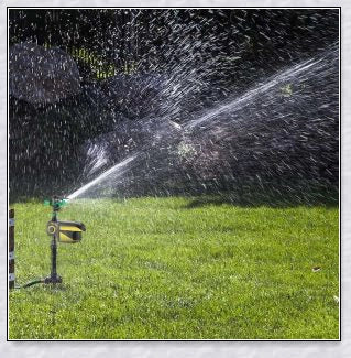 Spraycrow Solar Powered Motion Activated Animal Repellent Garden Sprinkler, a device that uses motion detection and spraying to deter pests from your garden