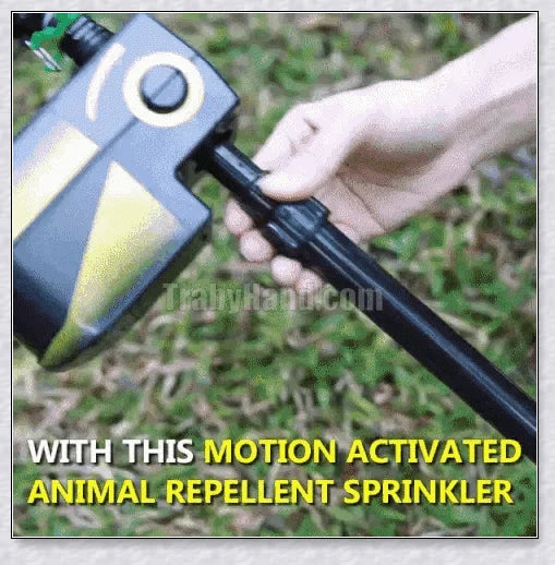Spraycrow Solar Powered Motion Activated Animal Repellent Garden Sprinkler, a device that uses motion detection and spraying to deter pests from your garden