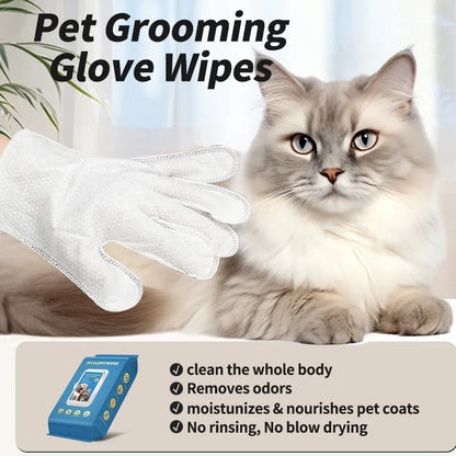 Pack of disposable plastic gloves with textured fingertips for grooming cats and dogs during bathing.